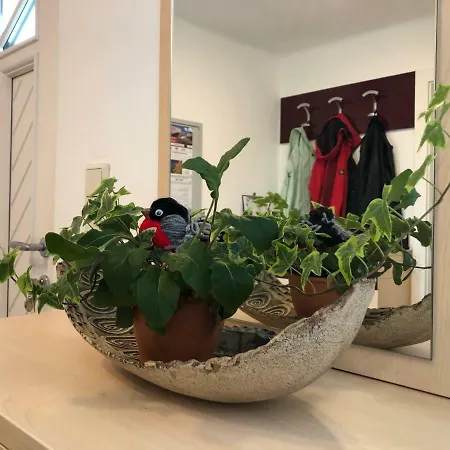Gimpl Apartment